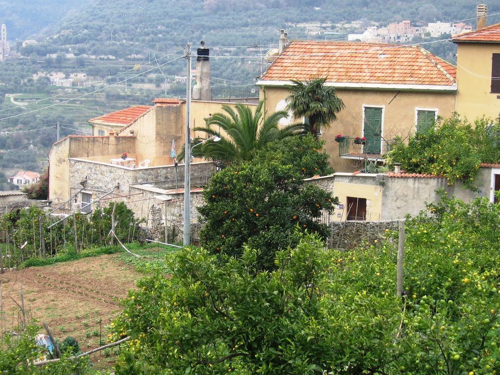 Agriturismo Barilaro Финале Лигуре Екстериор снимка
