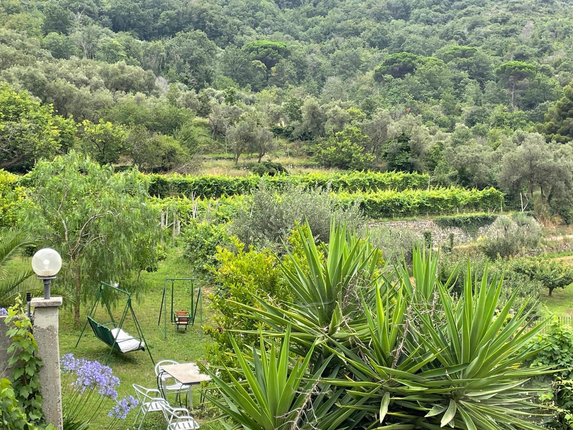 Agriturismo Barilaro Финале Лигуре Екстериор снимка