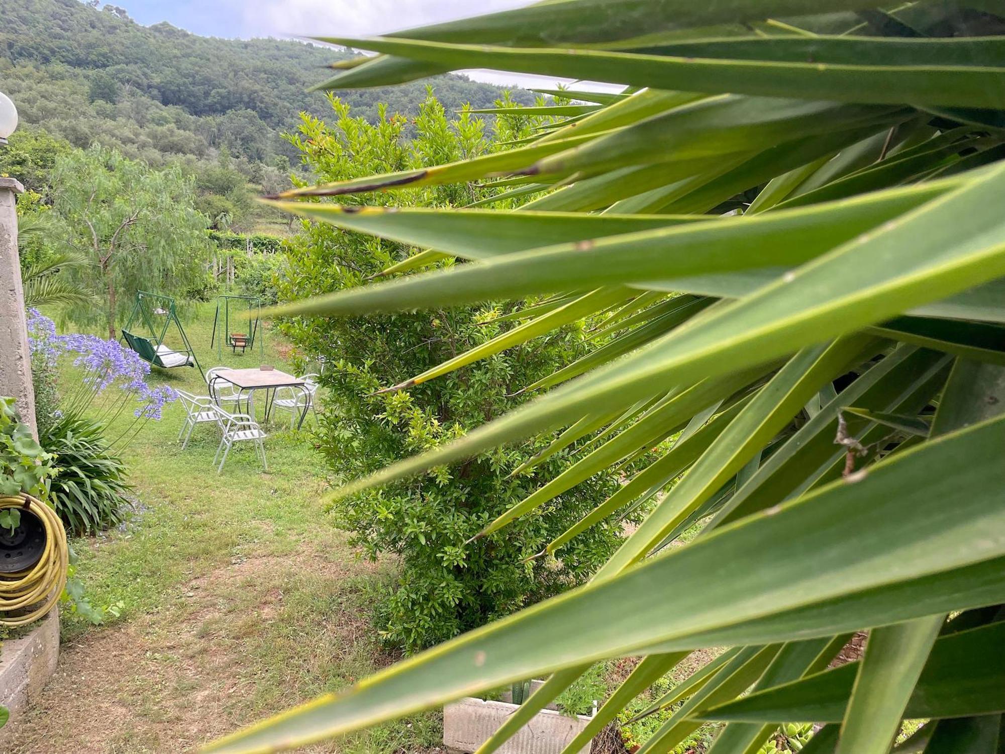 Agriturismo Barilaro Финале Лигуре Екстериор снимка