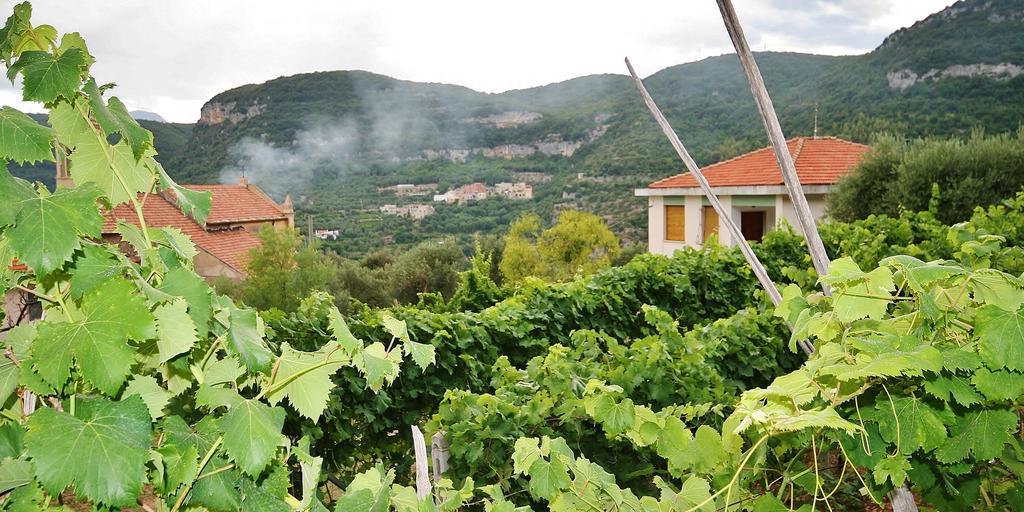 Agriturismo Barilaro Финале Лигуре Екстериор снимка